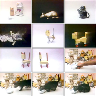Real Cats