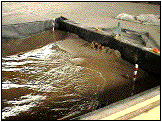 Wave tank motion