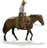 cowboy