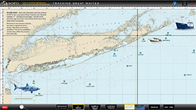 Shark Map